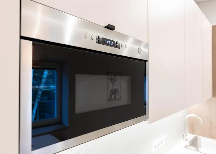 Apartman Nordic In Old Town Area And Balcony